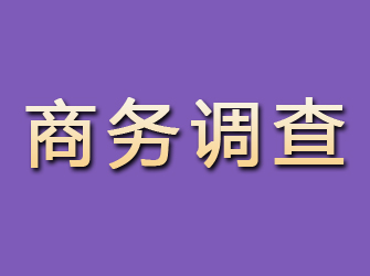 日照商务调查